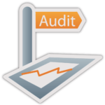 System and Finance Audit